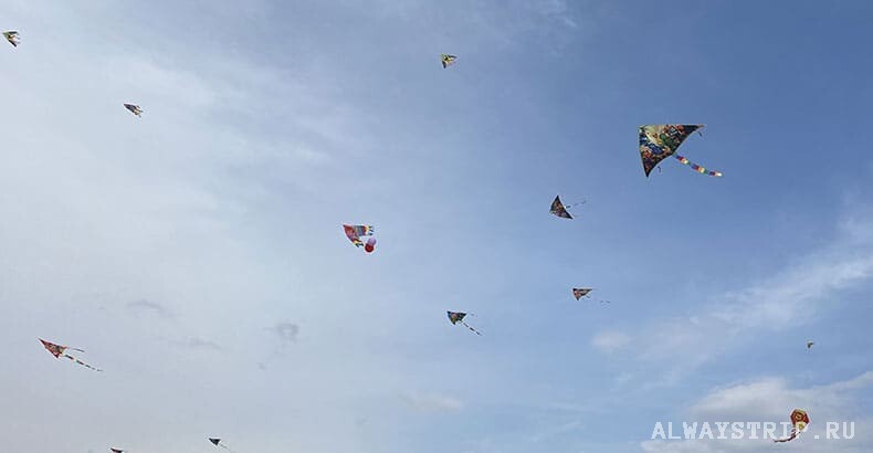 Змеи в небе