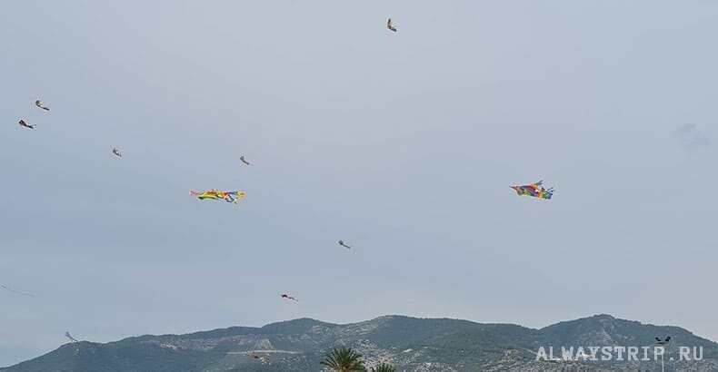 Воздушные змеи над Аланией