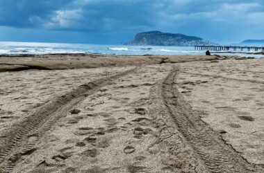 Следы от тяжелой техники на пляже