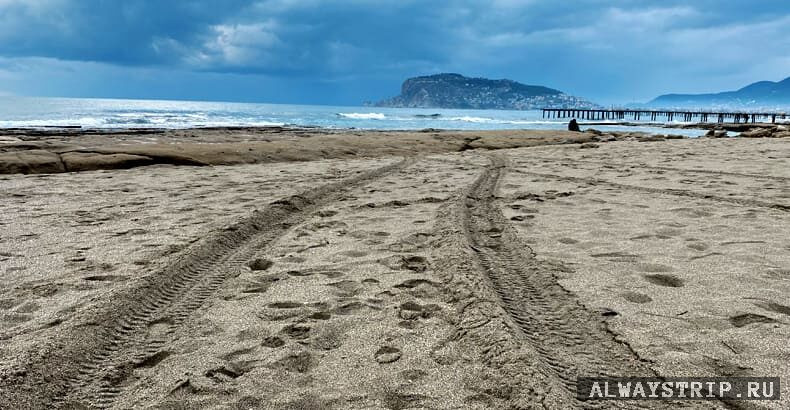 Следы от тяжелой техники на пляже
