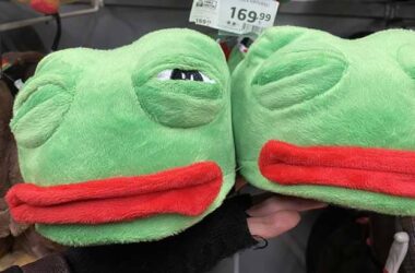 домашние тапочки