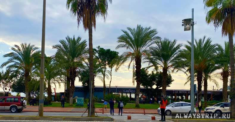 Парковка на набережной Алании