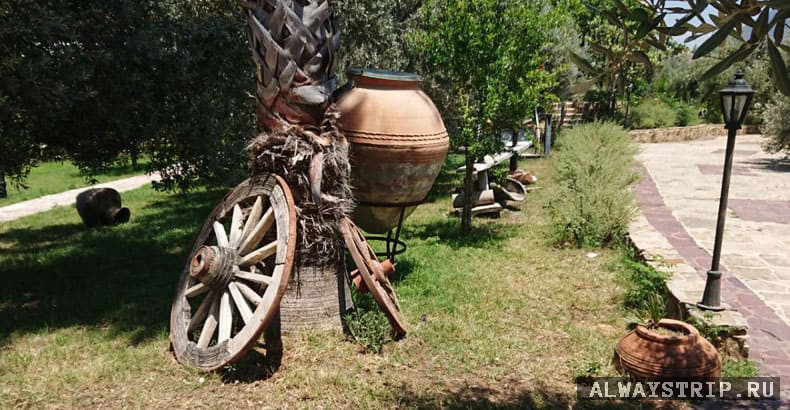 Музей вина и масла. Турция, Аланья