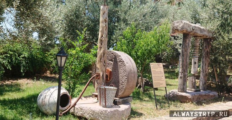 Маслобойня