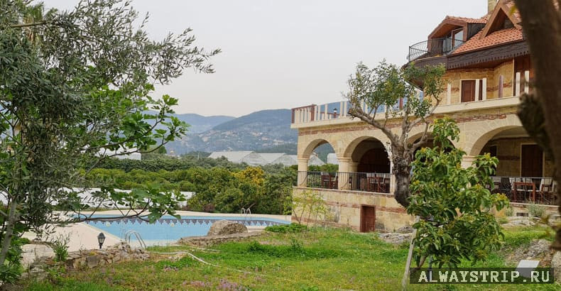 Бассейн на территории музея