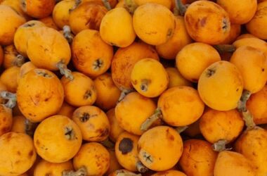 Мушмула в Турции