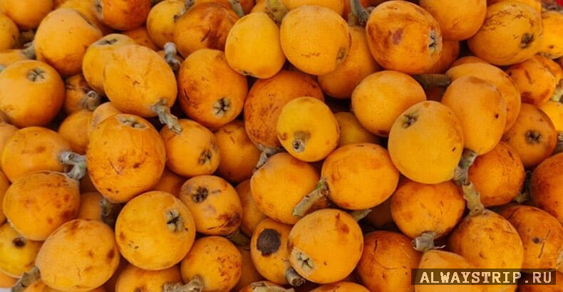 Мушмула в Турции