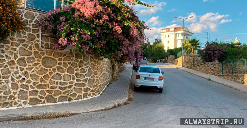 Авто из проката в Алании