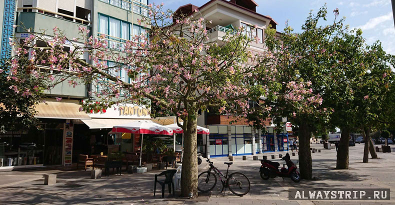 Какие налоги заплатят при покупке квартиры в турции