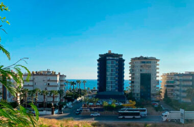 Сравнение Грузии и Турции