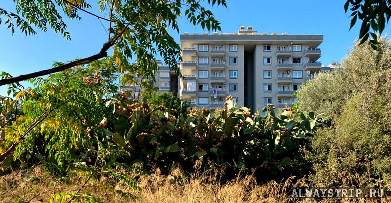 Дом в Турции