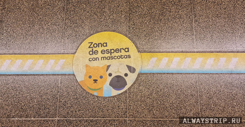 Зона остановки с животными