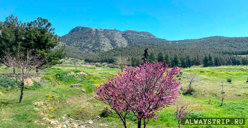 Весенний пейзаж в Памуккале