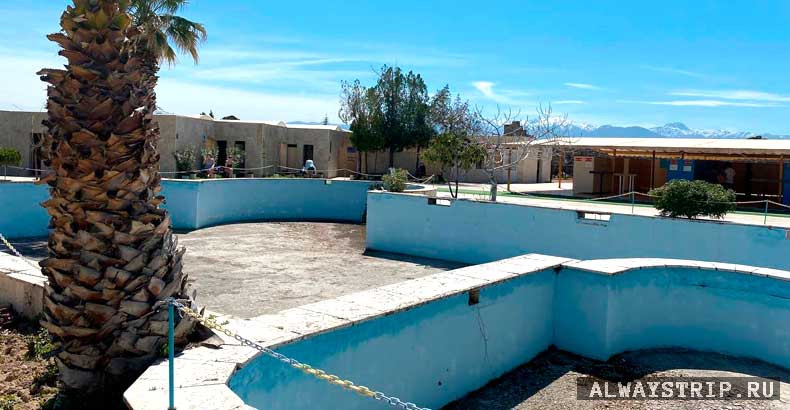 Бассейн в Памуккале