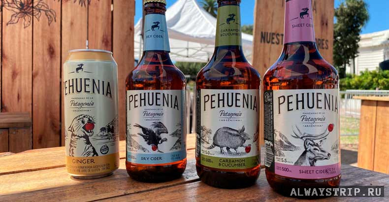 Бутылки пива