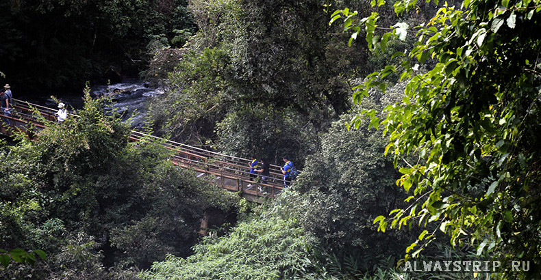 Вид сверху на туристов