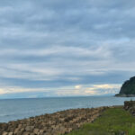 Поездка на автобусе из Тбилиси в Аланию Поездка из Тбилиси в Аланию на автобусе