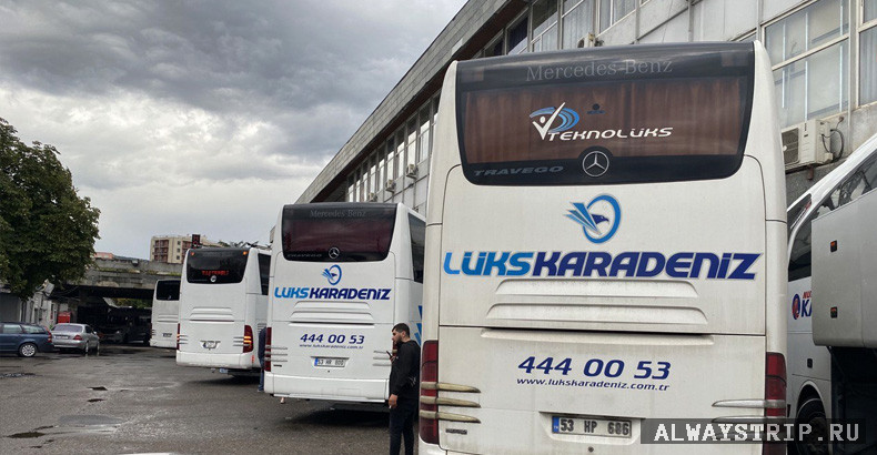 Припаркованные автобусы