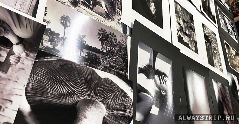 Черно-белые фотографии