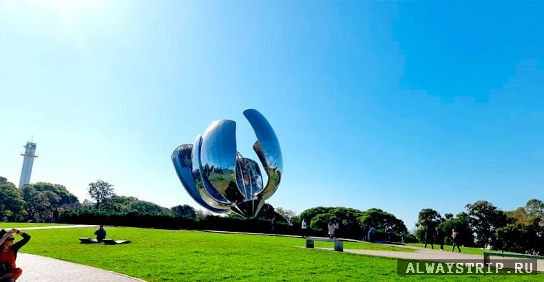 Цветок - символ Буэнос-Айреса