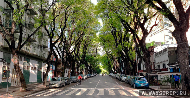 Улицы Палермо Вьехо